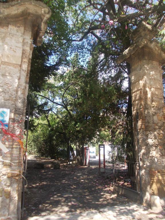Nest Apollo Apartment Mondello Bagian luar foto